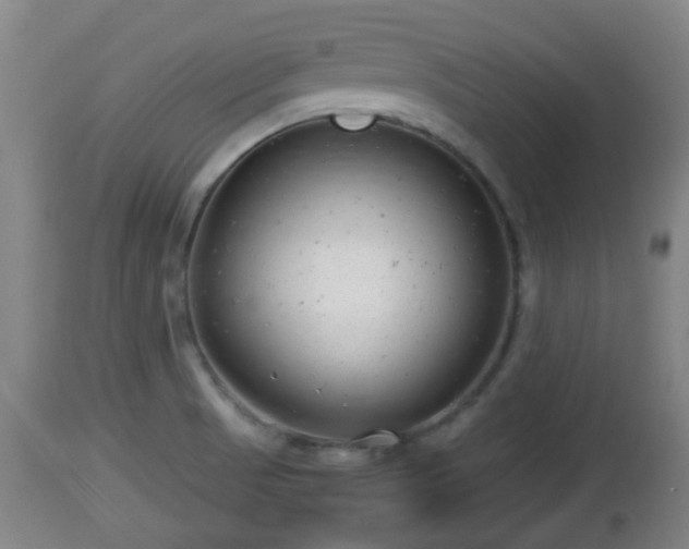 X0000112811521200908281455