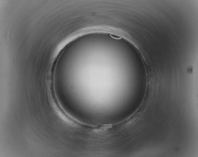 X0000112811523200908281455