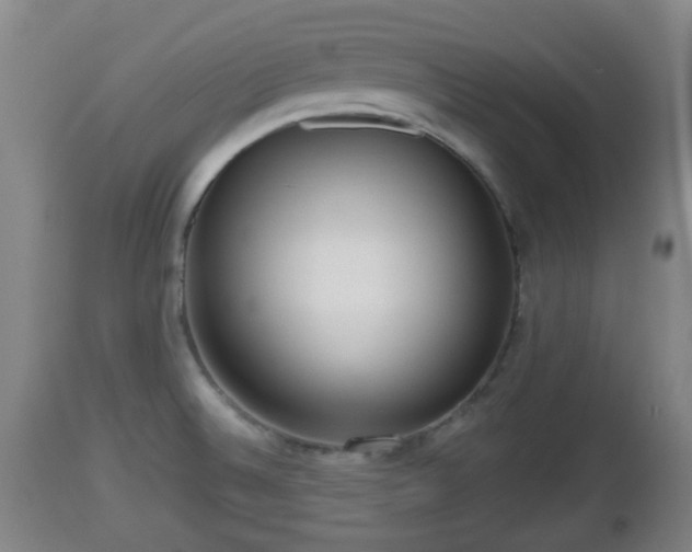 X0000112811524200908281455