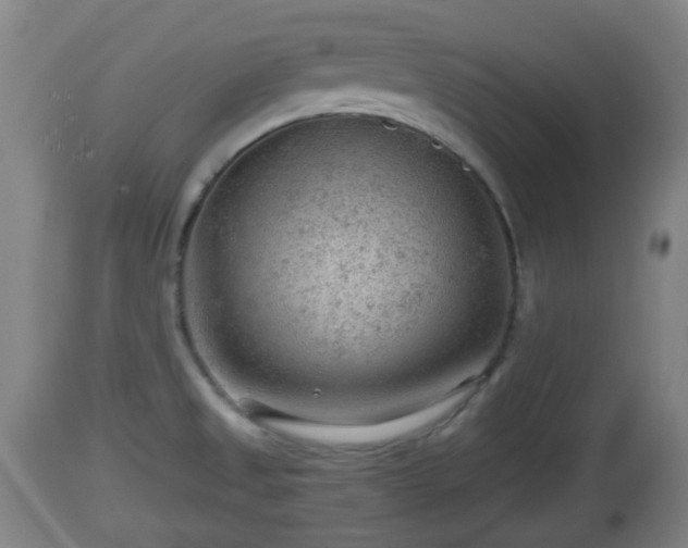 X0000112811525200908281455