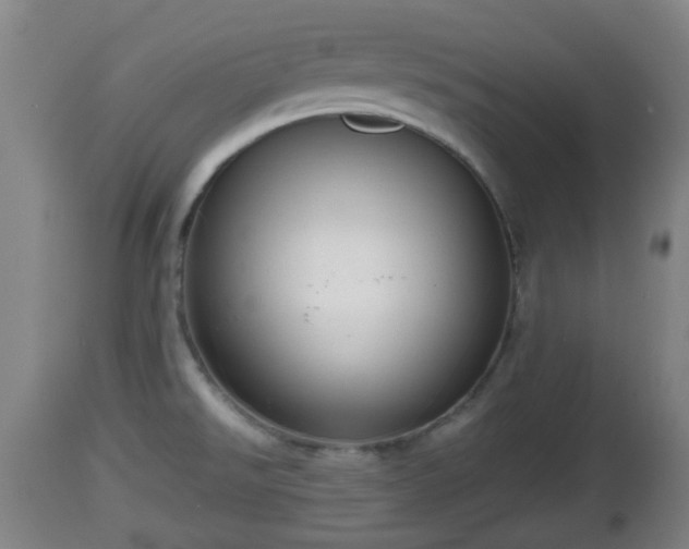 X0000112811526200908281455