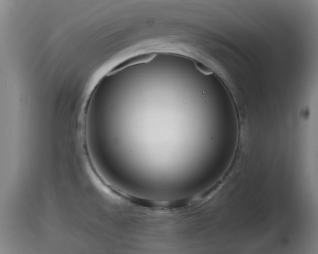 X0000112811528200908281455