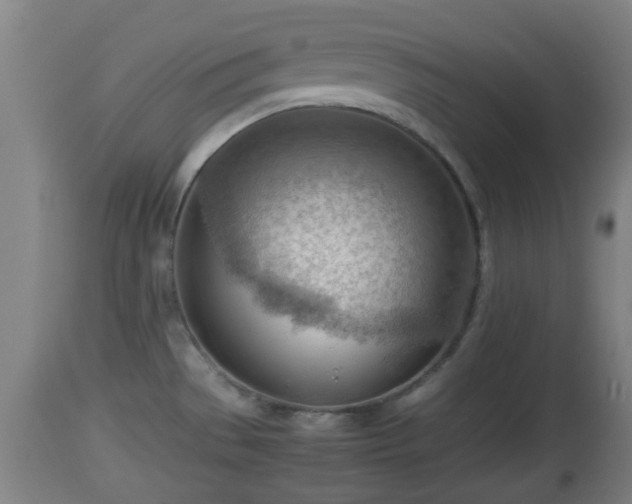 X0000112811529200908281455