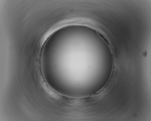 X0000112811530200908281455