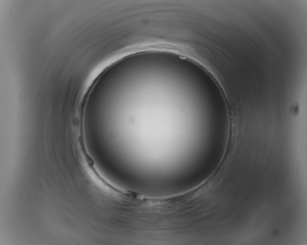 X0000112811531200908281455