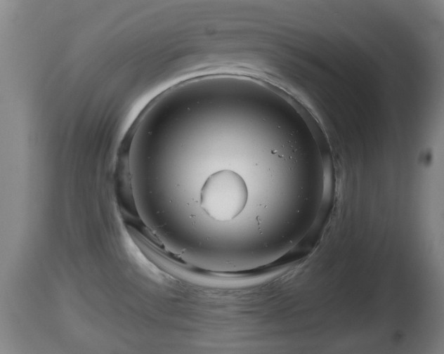 X0000112811532200908281455