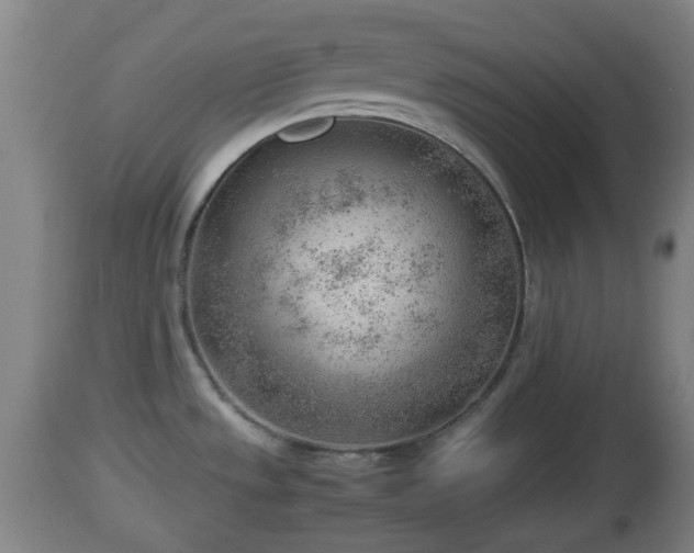 X0000112811533200908281455