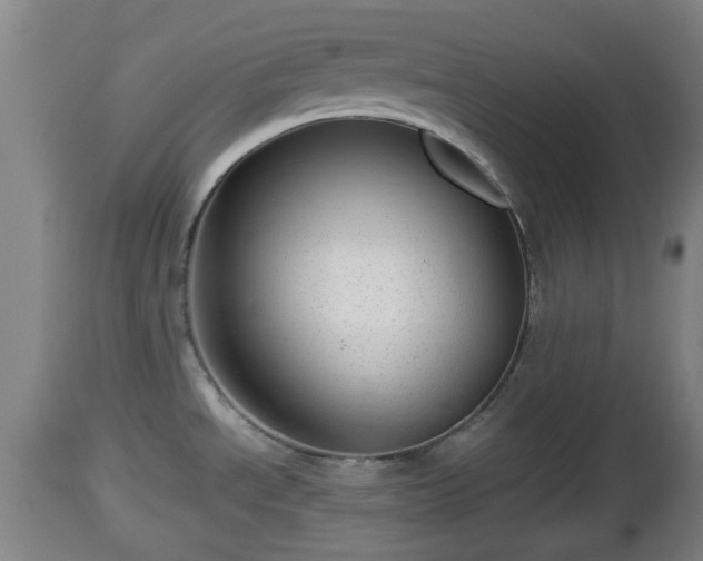 X0000112811534200908281455