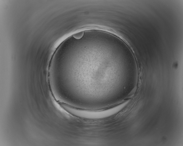 X0000112811535200908281455