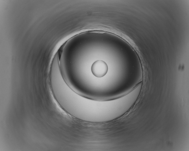 X0000112811536200908281455