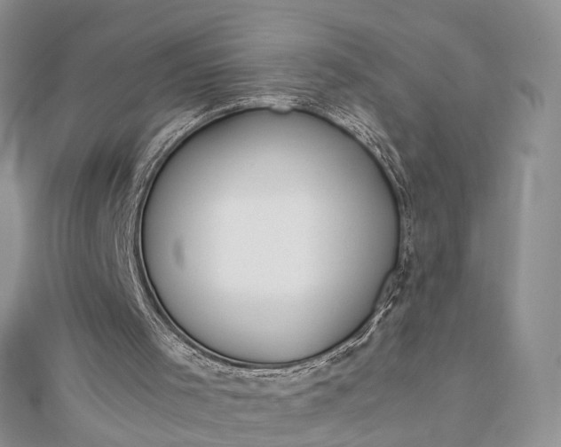 X0000112810001200909041504