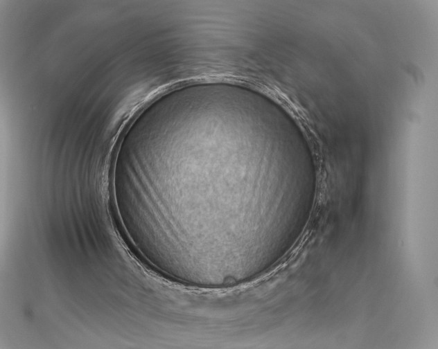 X0000112810002200909041504