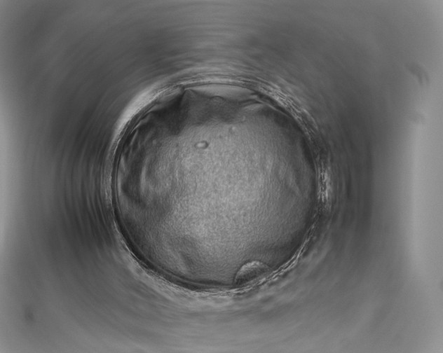 X0000112810004200909041504