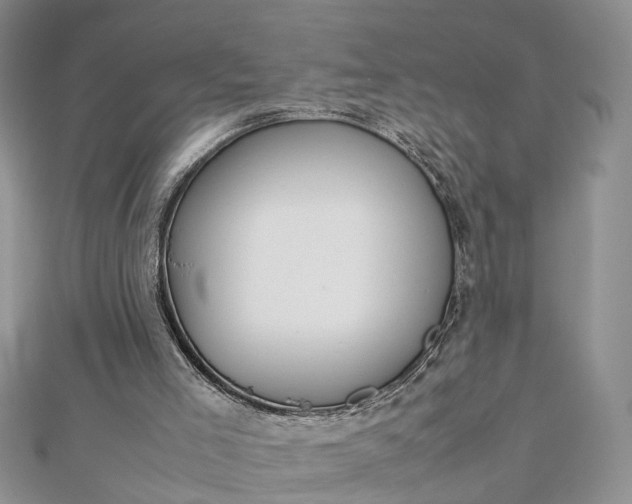 X0000112810005200909041504