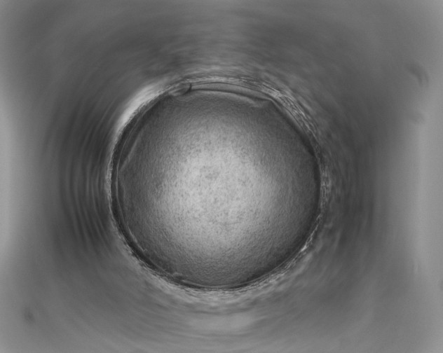 X0000112810006200909041504