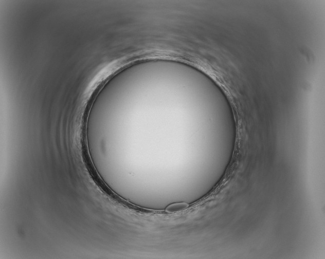 X0000112810007200909041504