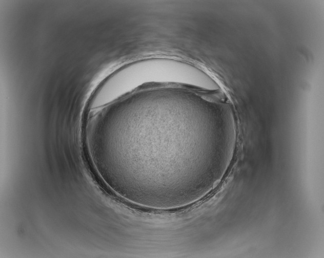 X0000112810008200909041504