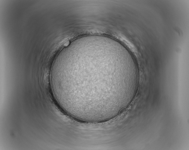 X0000112810009200909041504