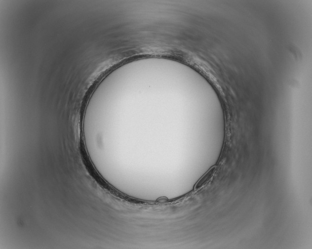 X0000112810011200909041504