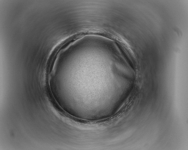 X0000112810012200909041504