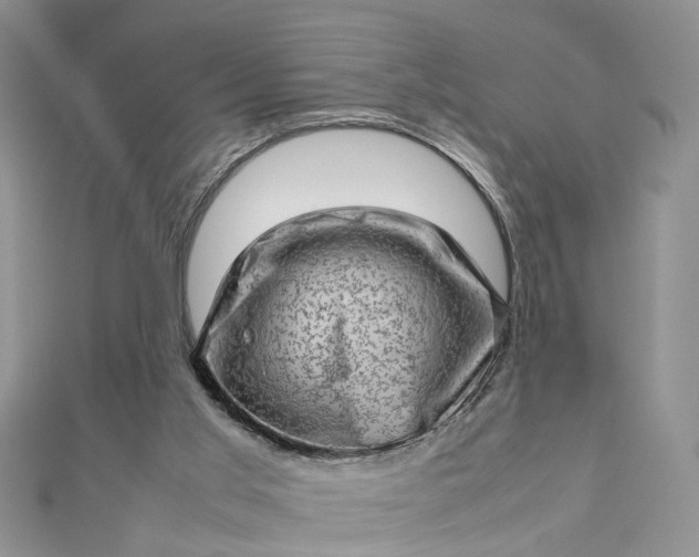 X0000112810013200909041504