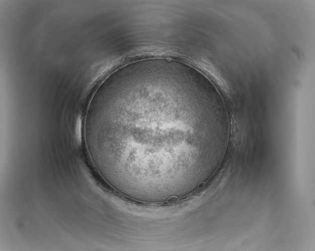 X0000112810014200909041503