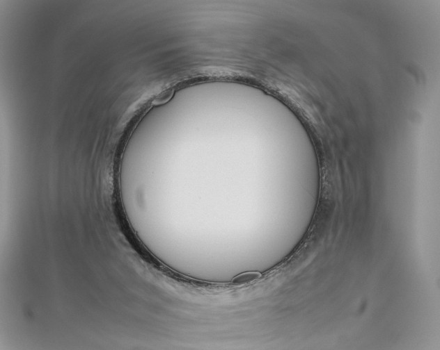 X0000112810015200909041503