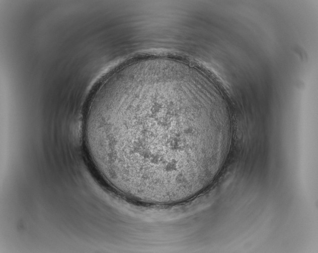 X0000112810016200909041503