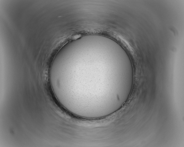 X0000112810017200909041503