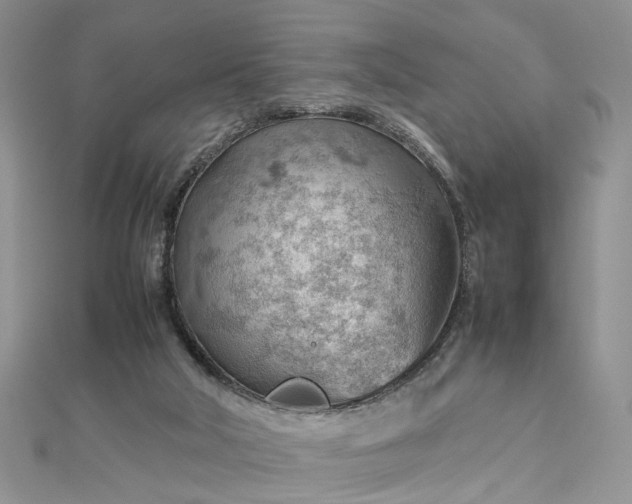 X0000112810018200909041503