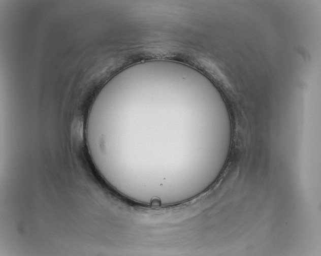 X0000112810021200909041503