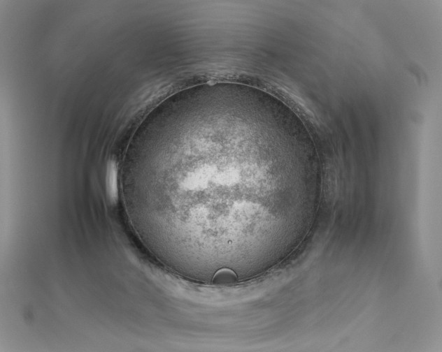 X0000112810022200909041503