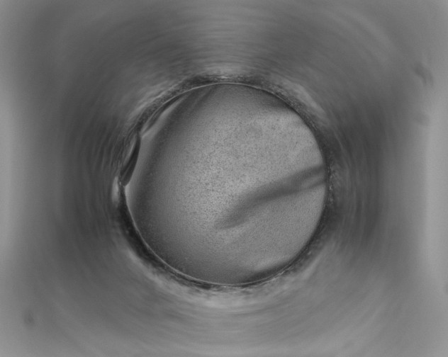 X0000112810024200909041503