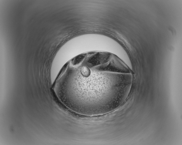 X0000112810025200909041503