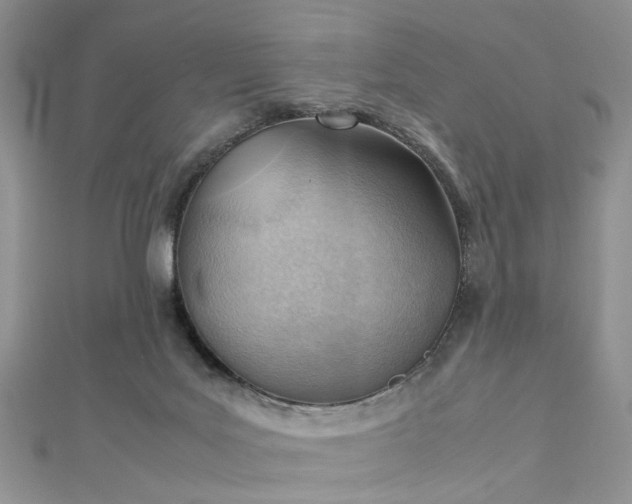 X0000112810027200909041503