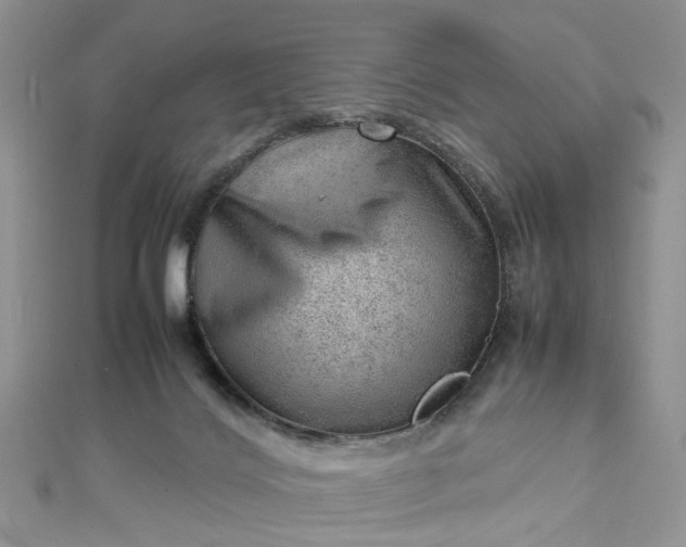 X0000112810028200909041503