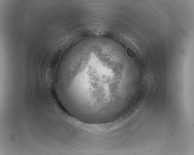 X0000112810030200909041503