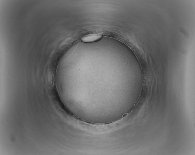 X0000112810031200909041503