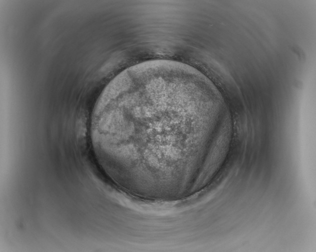 X0000112810032200909041503