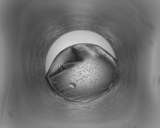 X0000112810033200909041503