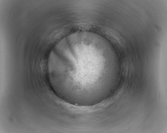 X0000112810034200909041503