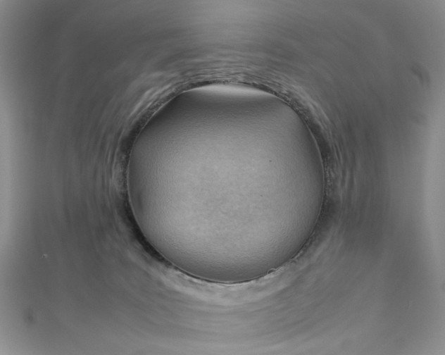 X0000112810035200909041503