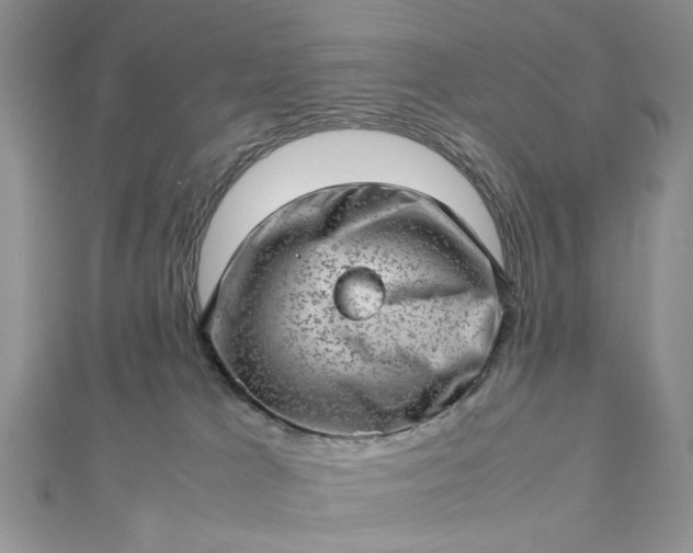 X0000112810037200909041503