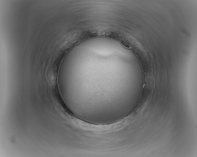 X0000112810039200909041503