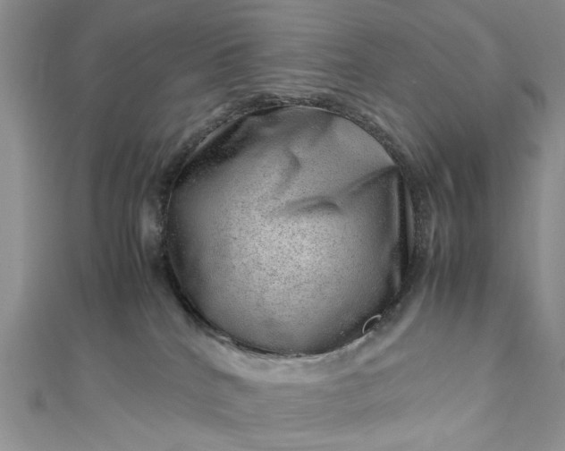 X0000112810040200909041503