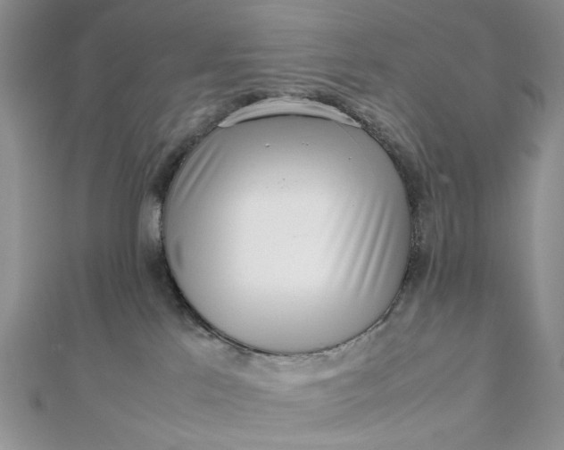 X0000112810041200909041503