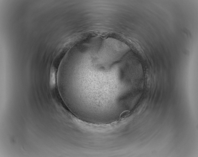 X0000112810042200909041503