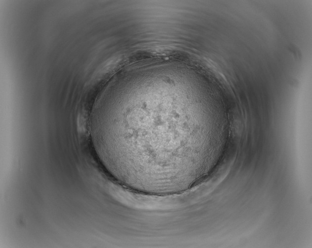 X0000112810044200909041503