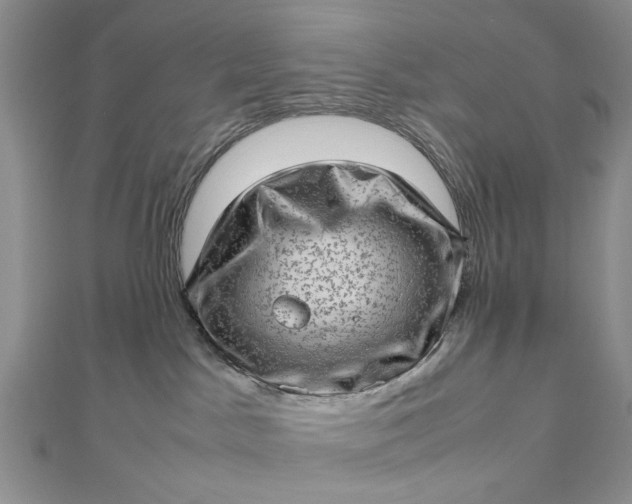 X0000112810045200909041503