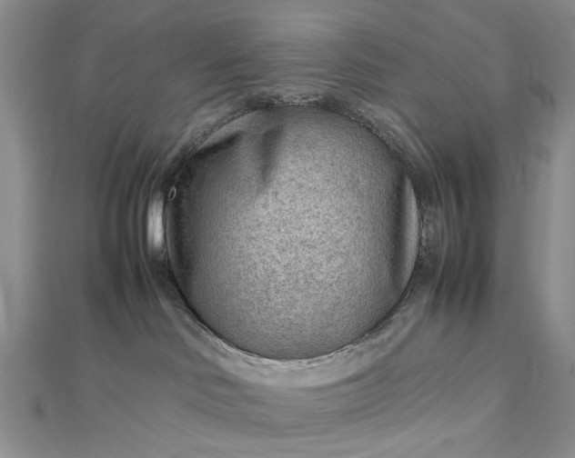 X0000112810046200909041503